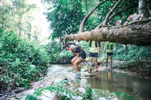 BIB: 
                            <button type="button" onclick="openModal(25441752)" class="btn btn-primary btn-sm float-right btn-popup" data-toggle="modal" data-target=".modal-high-quality">
                        <i class="fas fa-shopping-cart"></i> Add to Cart
                    </button>
                                            <button type="button" onclick="isThisMe(25441752, true)" class="btn btn-success btn-sm float-right btn-popup btn-isme hidden" data-toggle="tooltip" data-placement="bottom" title="นี่คือรูปของคุณใช่ไหม คลิกที่นี่เพื่อเอาเข้าอัลบั้ม">
                        <i class="fas fa-plus"></i> Add to album
                    </button>
                    <button type="button" onclick="isThisMe(25441752, false)" class="btn btn-warning btn-sm float-right btn-popup btn-isnotme hidden">
                        <i class="fas fa-ban"></i> Remove from album
                    </button>